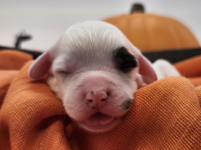 27a8b33b-d855-4a9a-9363-51a922017344