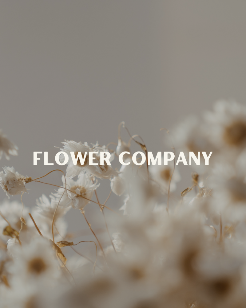Flower-Co-01