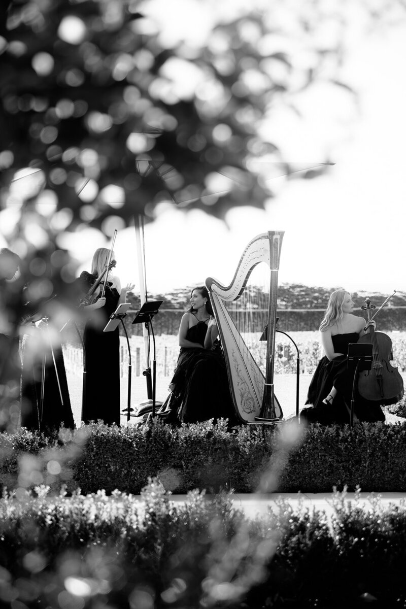 ADORN STRINGS - MARCH 2025-046