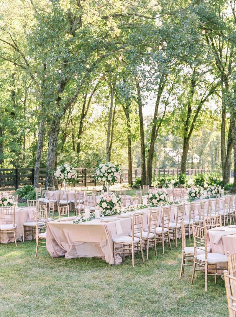 Charlottesville Wedding Photographer_Callie Manion Photography__0454