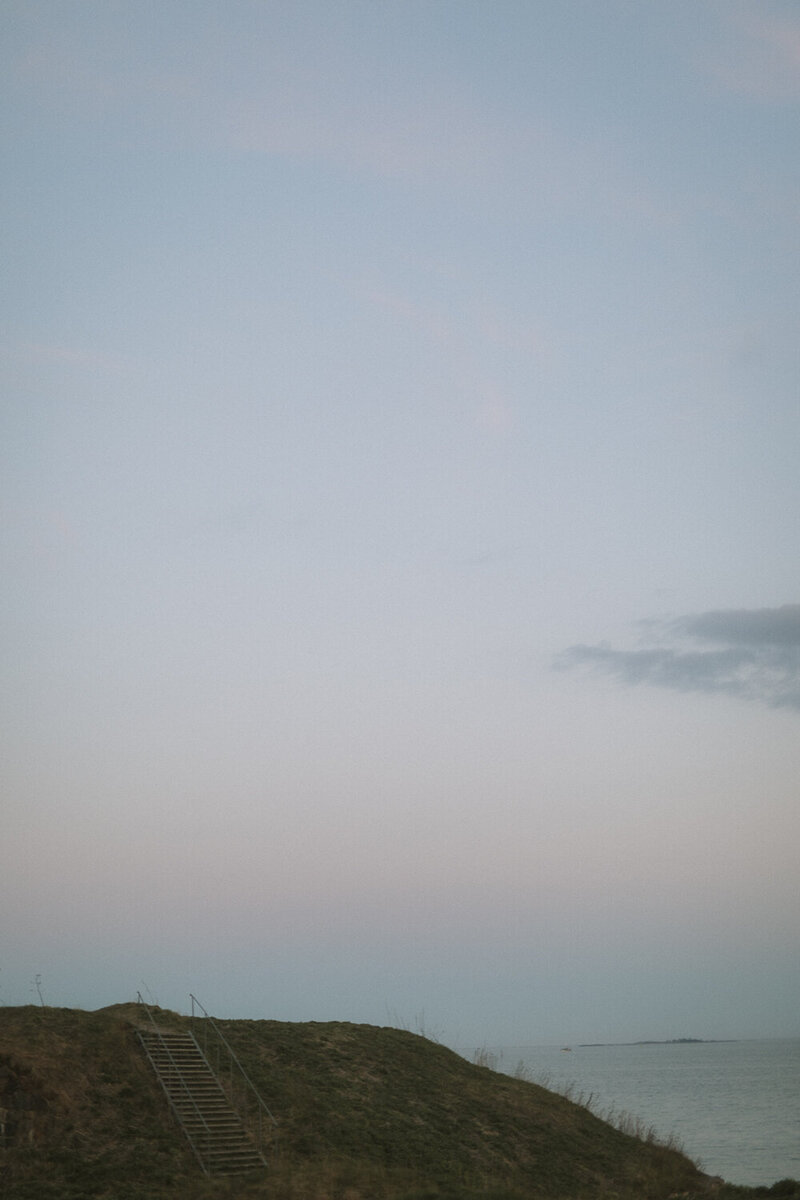 iiav-91