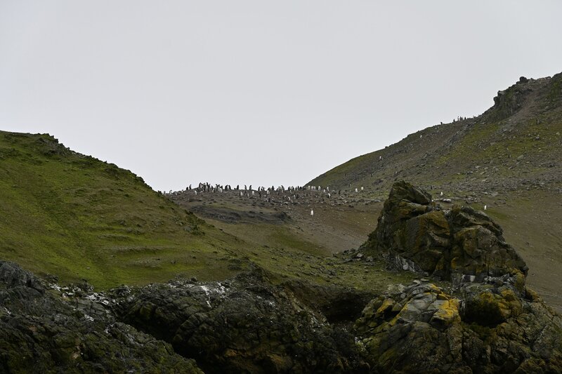 DSC_0189