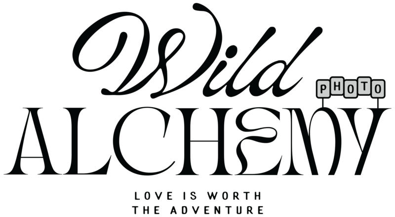 wild alchemy logo
