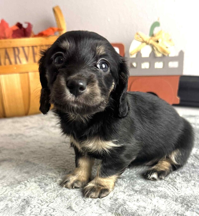 353dad99-9f4f-4122-b85c-7419f001a529