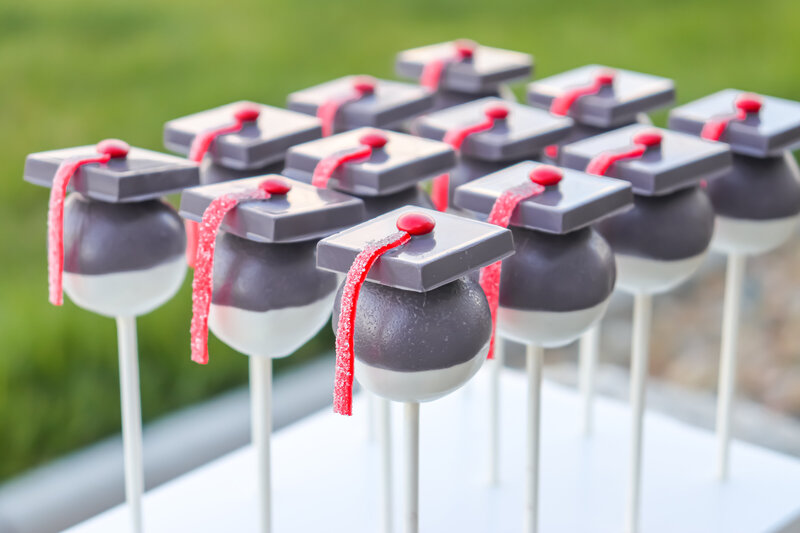 bakery - cakes - cake pops -north dakota -251