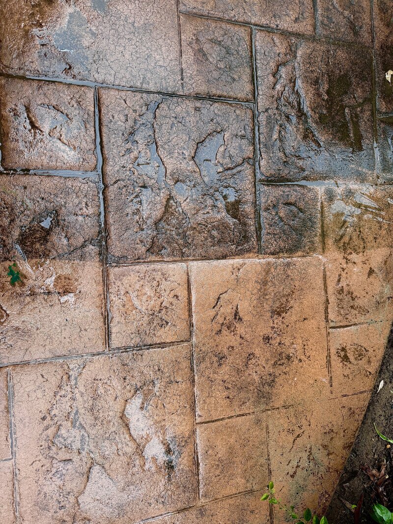 Pressure Washing pathways gold coast to brisbane
