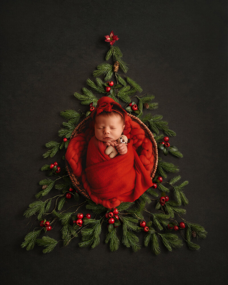 Infant posed for Newborn Portraits in Asheville, NC.
