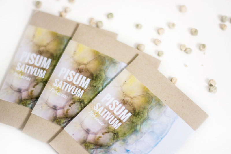 seeds2
