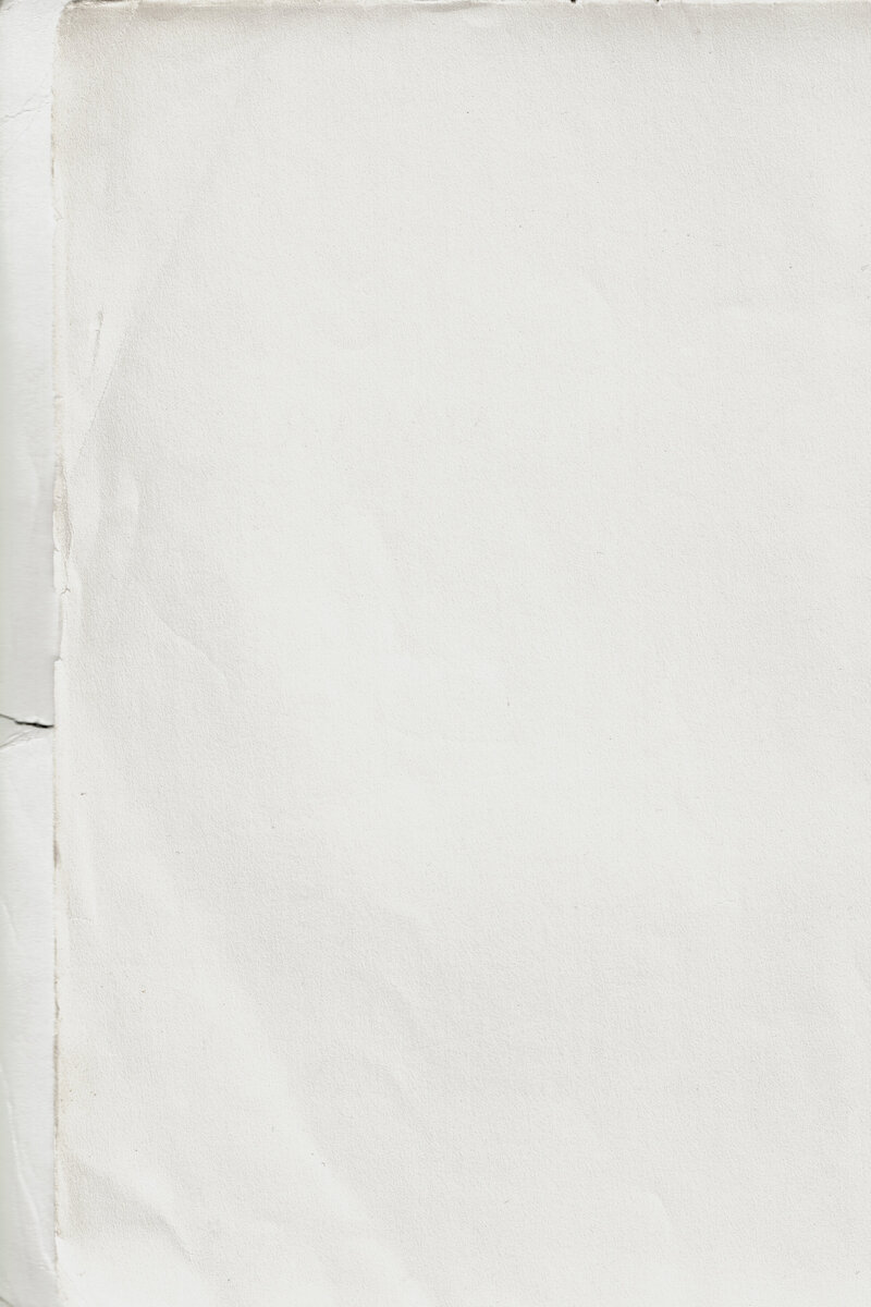 White torn edge paper