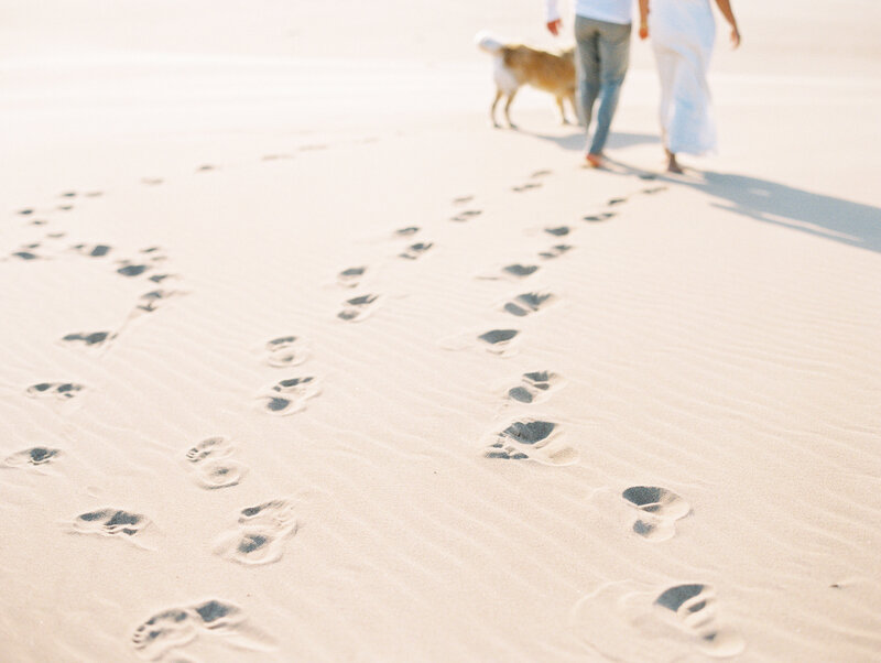 Grand-Rapids-Michigan-wedding-photographer_11