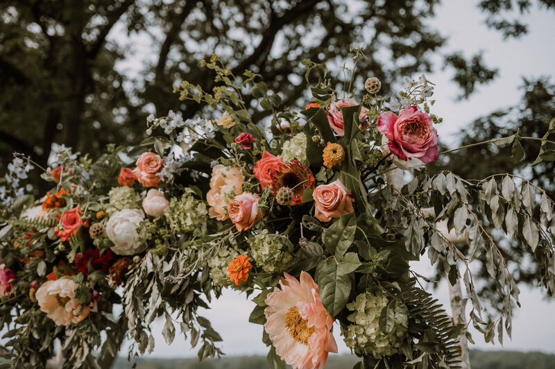 HaleyOCallaghanPhoto-9206