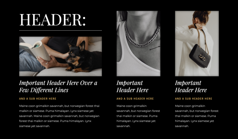 FAQ Showit layout design