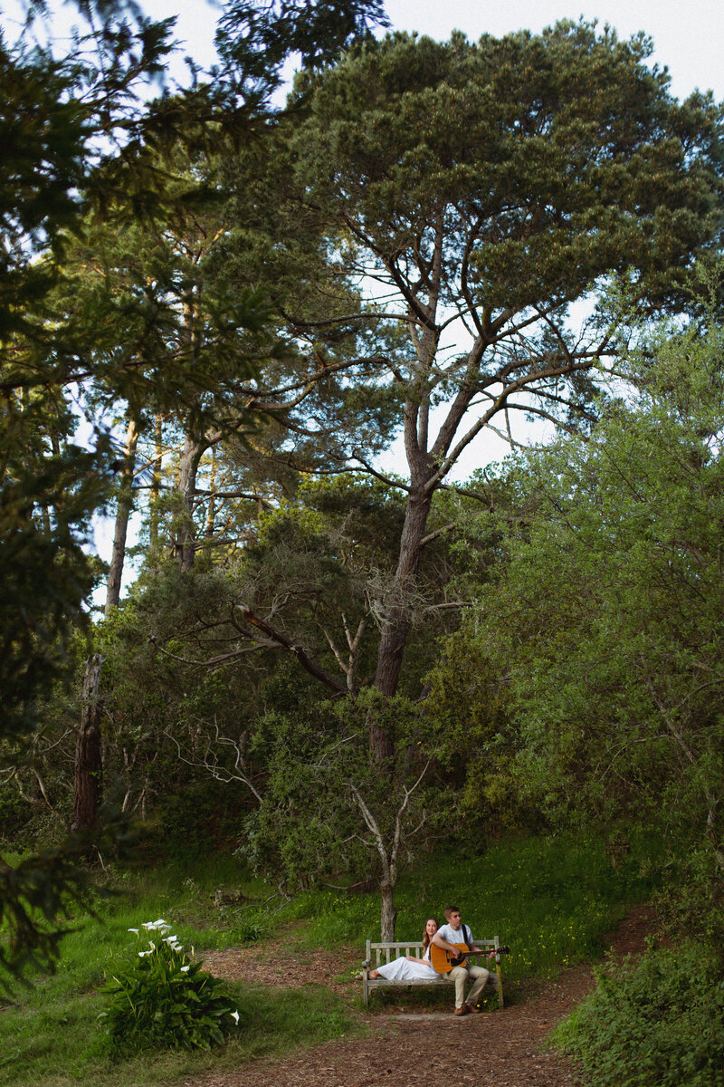 california_wildflowers-34