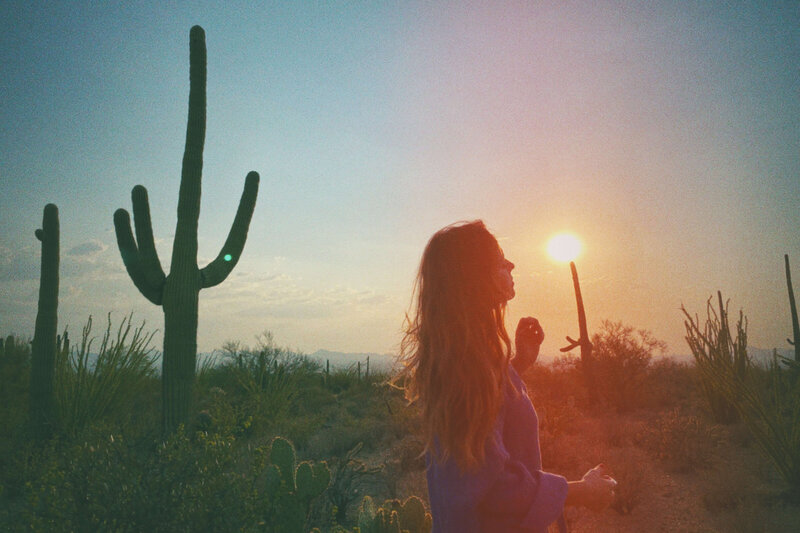 A woman stands in a desert landscape with cacti at sunset, holding her hand up as if touching the sun—a scene inspired by Sweet Pea Ink Creative, where brand strategy and artistry beautifully intersect.