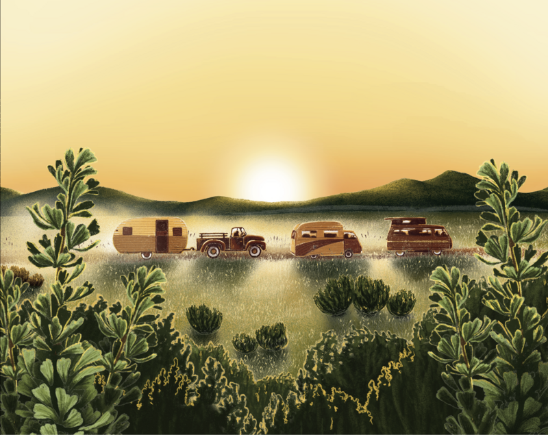 Montana festival illustration featuring campers on dusty road at sunset with mountain and sagebrush – Red Ants Pants