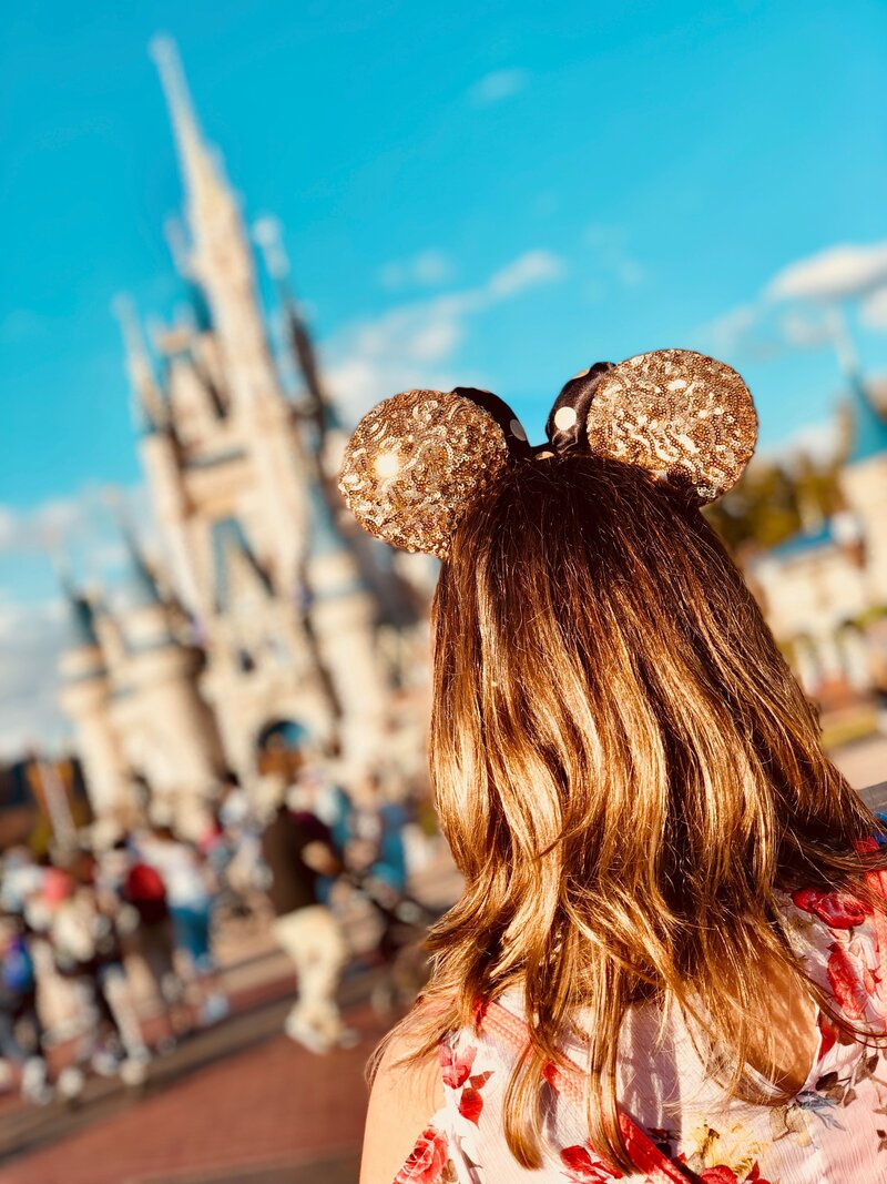 Mickey Ears and Castle