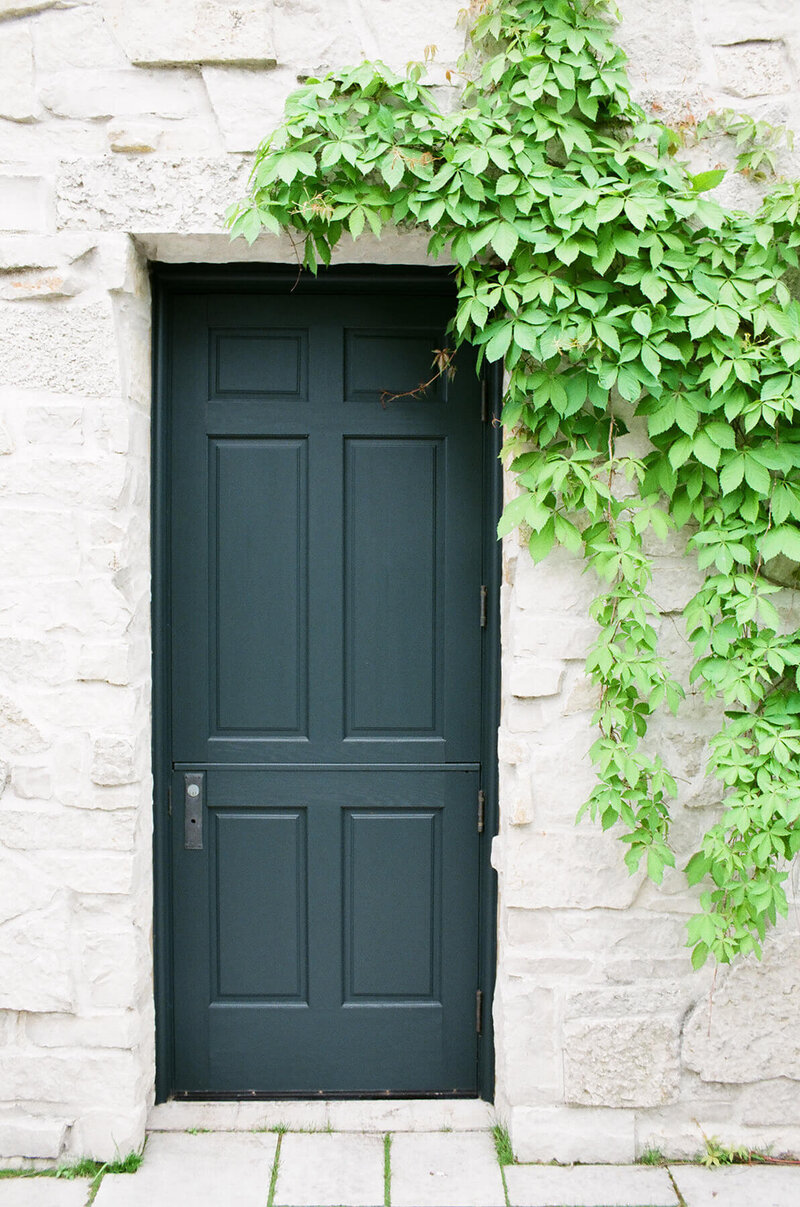 Black door with cream walls and green climbing vine - Brenda Chadambura