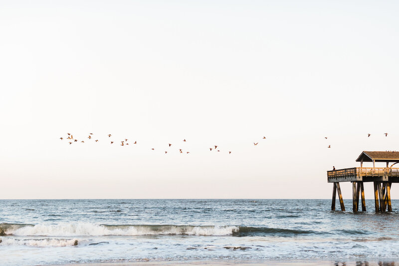 A flock of birds flies over the water near a dock along the Atlantic coast