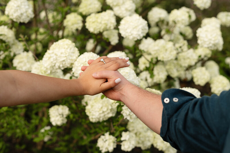 VINTAGE_KAITLYN_PHOTOGRAPHY_Taynara_Gavin_Engagement-3