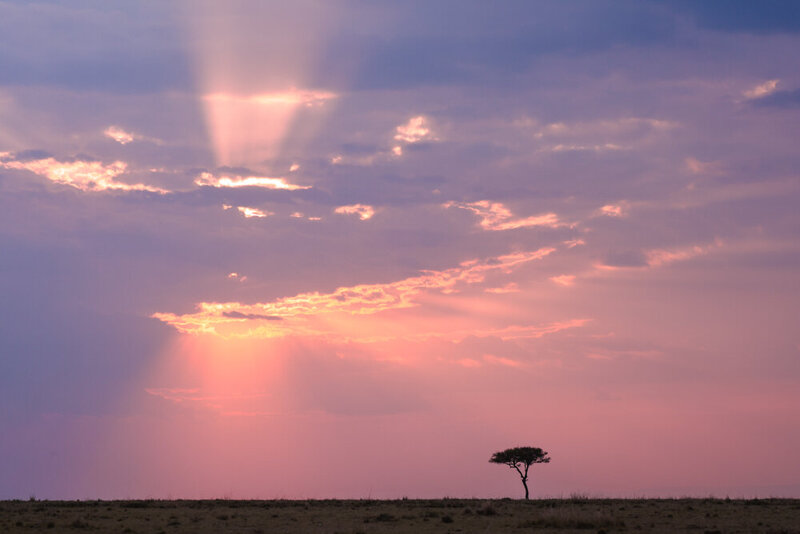 safariedited-137