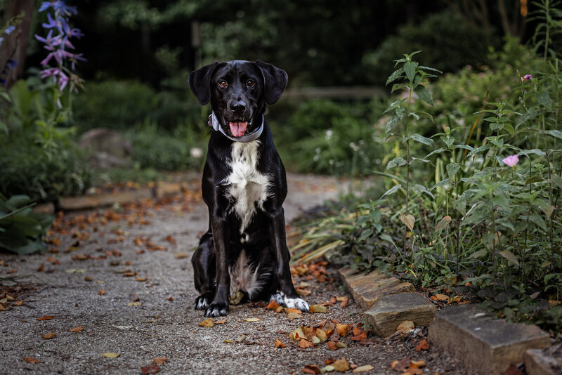 0T7A9769-Edit
