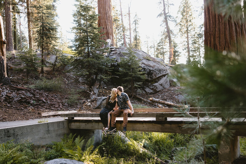 Sequoia National Park elopement Photographer3530