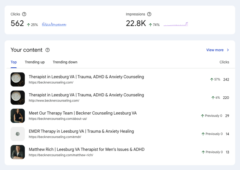 therapist-visibility-strategy
