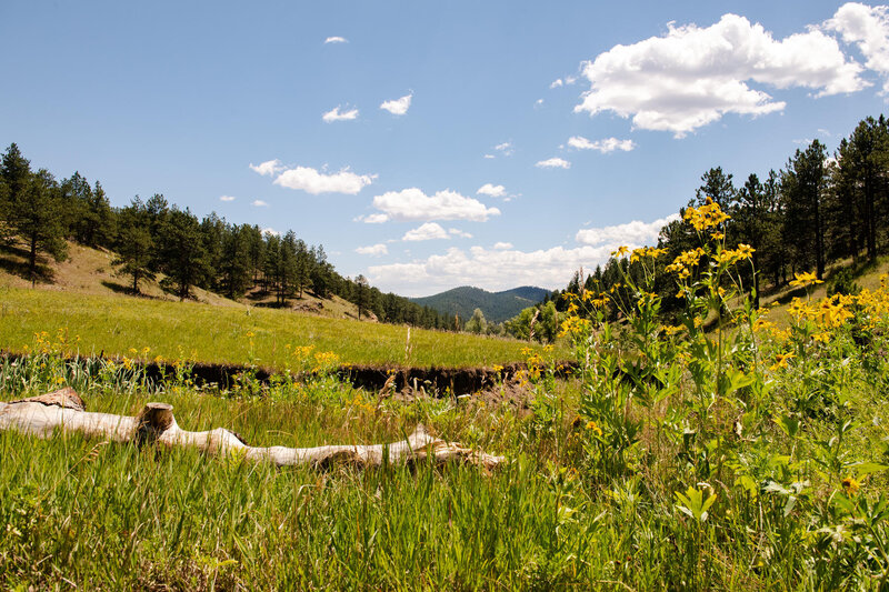 Legacy Ranch-042-042-Land-MLS_Size