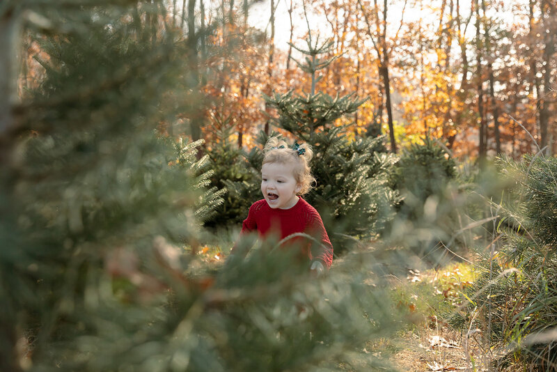 little girl runs through christmas tree farm in dexter michigan