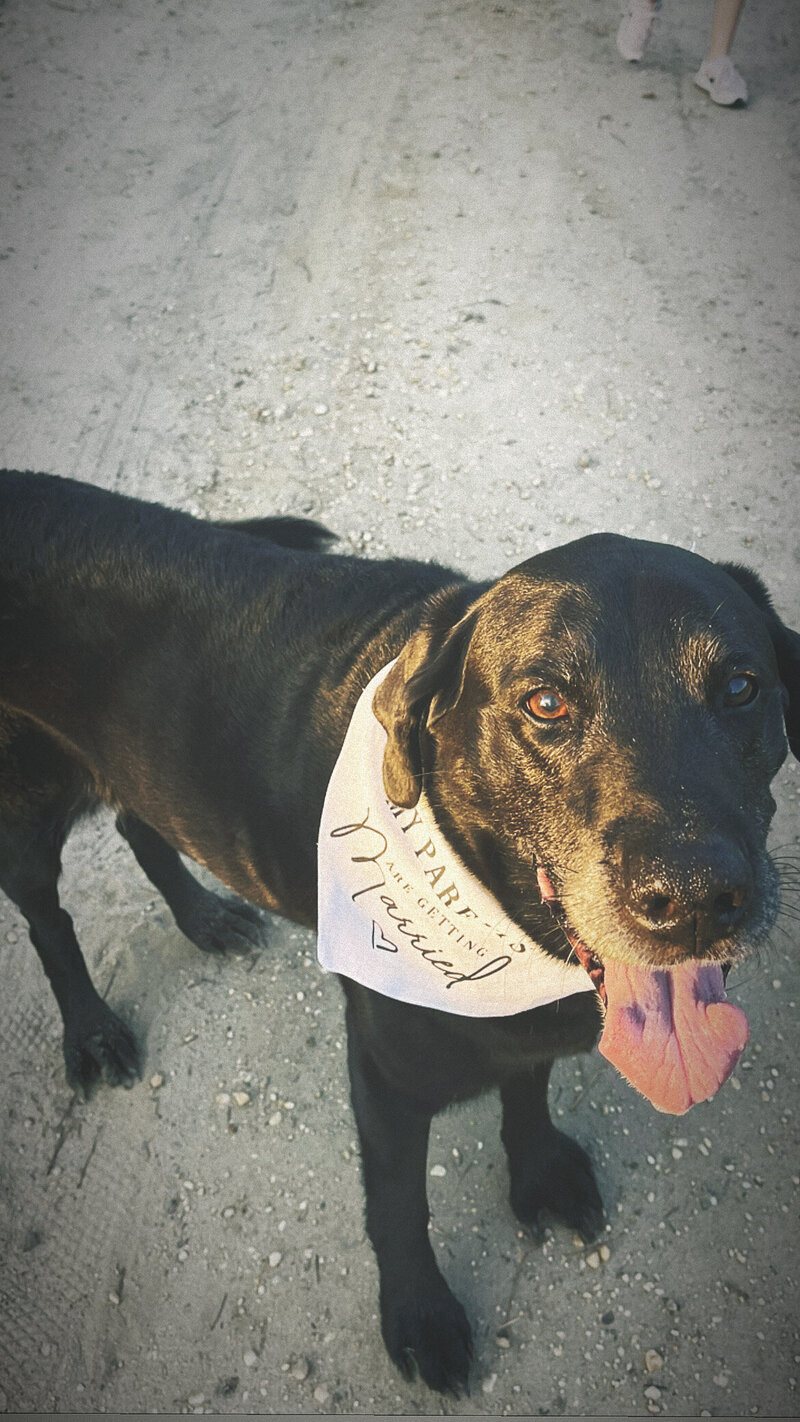 66255448-5D57-4169-825C-4C29B9880BDE-1