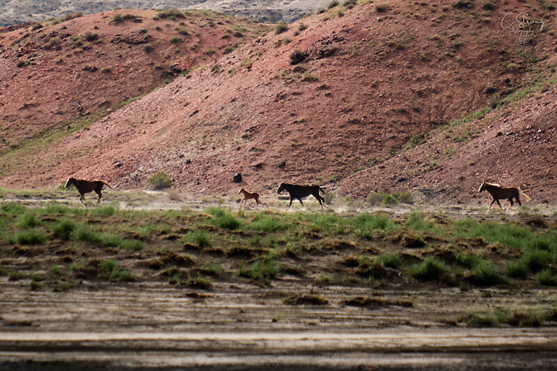 Near Farmington, New Mexico