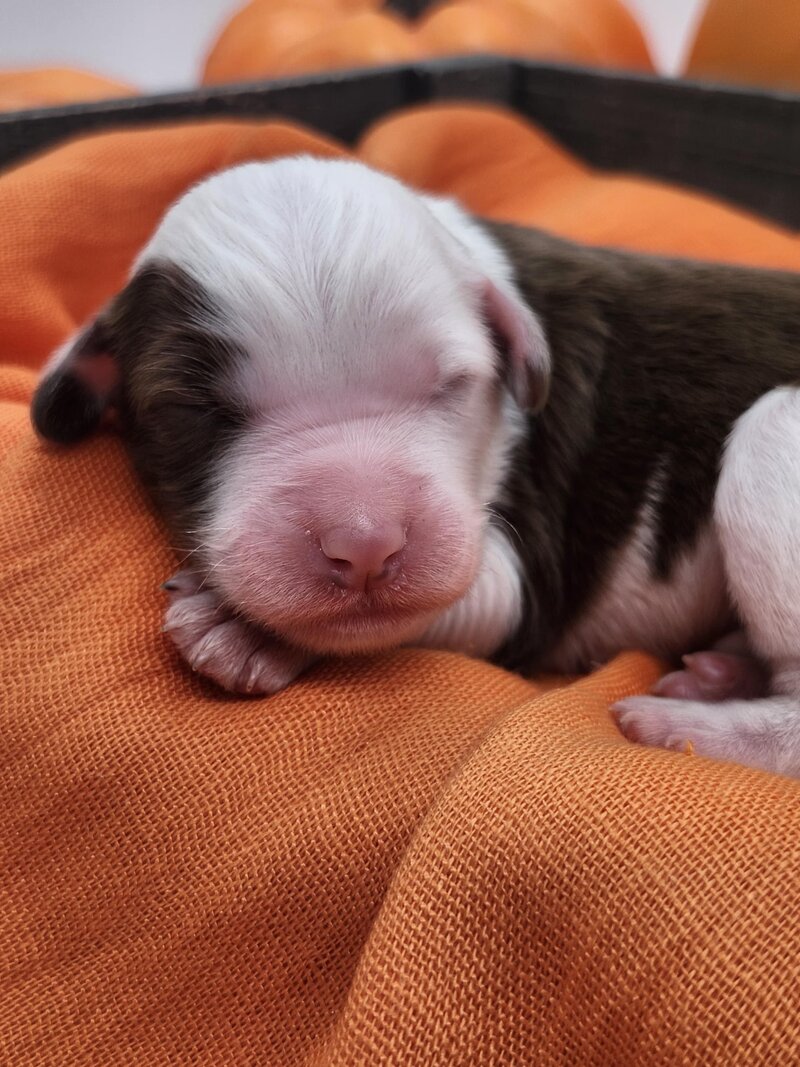 c18d8b56-591e-4fe6-a8d8-ef452aec4210