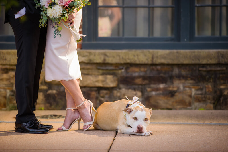 Faithful dog resting at the couple’s feet during their intimate elopement at the Phoenixville Foundry.