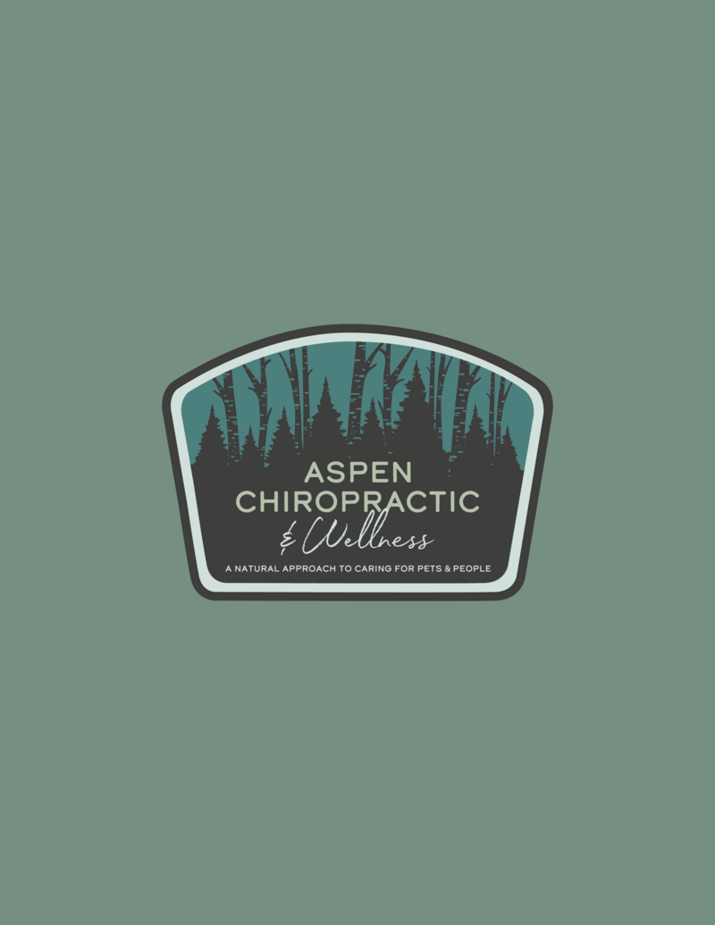 aspen-2022-shirt-presentation-V2-badge-09