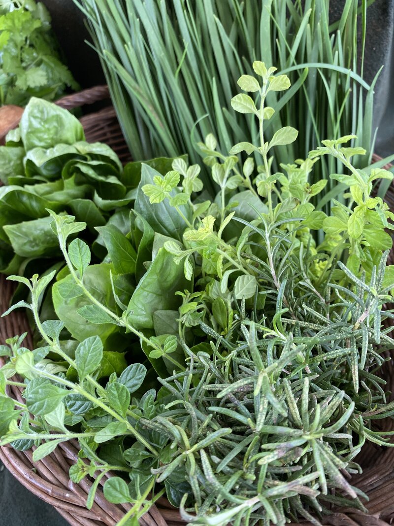 Rosemary, oregano, basil and chive