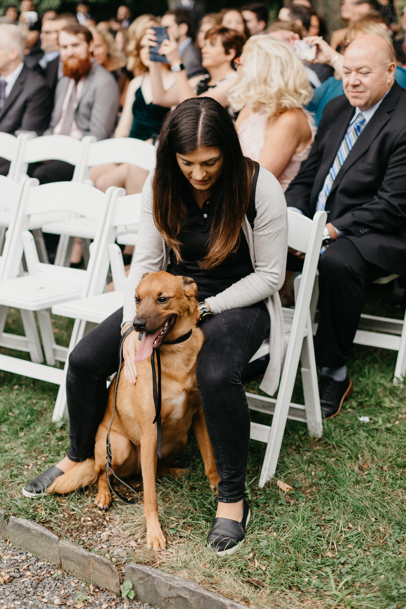 Pawfect for You Pet Care during wedding New York Massachusetts Connecticut New Jersey Pennsylvania21