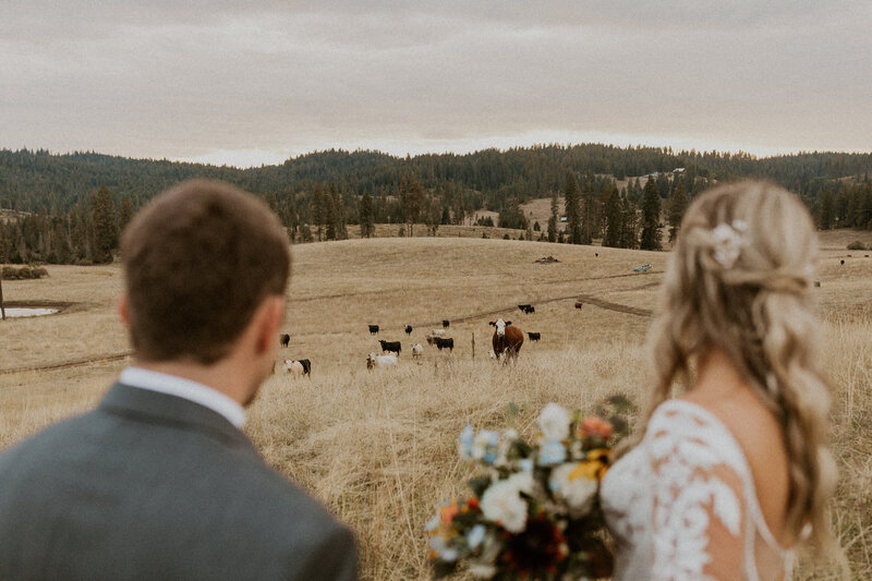 bride and groom in the pasture