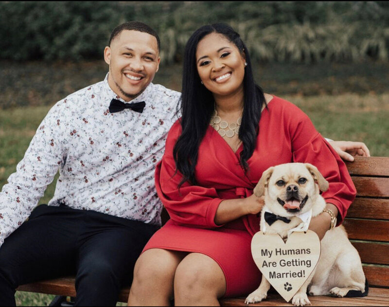 pug-in-engagement-picture