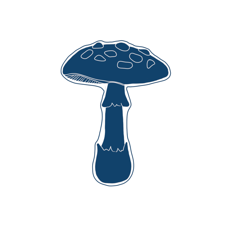 blue illustration of a mushroom with a speckled cap