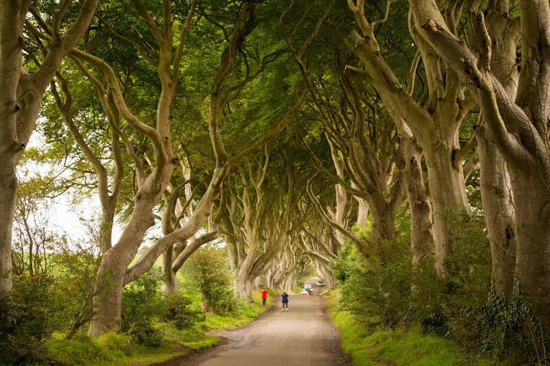 Waterstone - Fitzwilliam Hotel - Belfast - Luxury Boutique Hotel - 21374470124_12ae9149e2_o