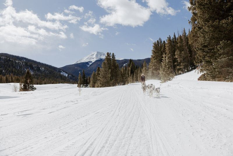 Colorado Wedding Photographer
