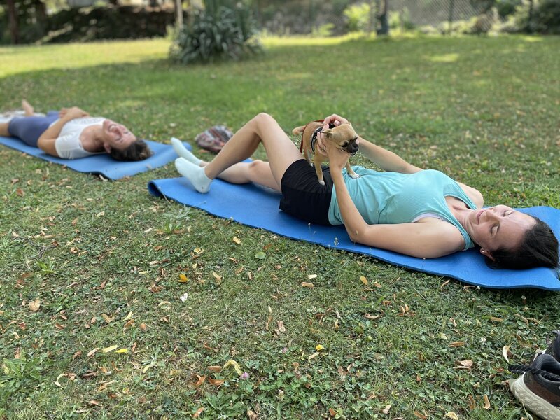 Pilates, Ernährungstraining und zyklusorientiertes Training in den Bezirken Mödling und Baden für ganzheitliches Wohlbefinden – sowie Fit im Büro: Dein Team-Training für mehr Gesundheit am Arbeitsplatz.