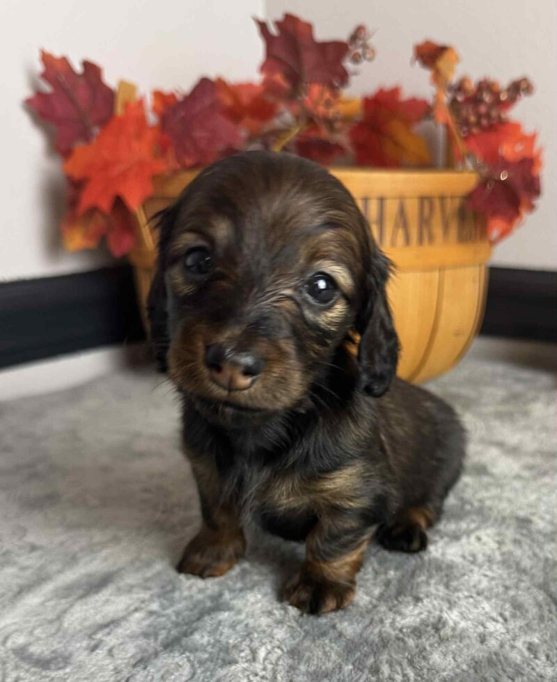 1c217566-942d-4cc9-b181-2555e5f6b237