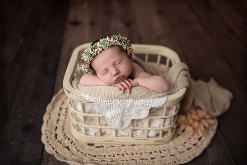 Rustic charm and soft greens bring this timeless newborn image to life.
