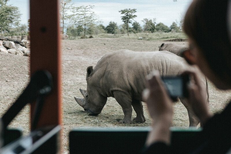 Tanzania safari tours