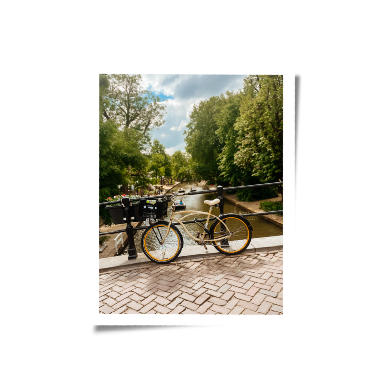 Netherlands canal with bike and tulips