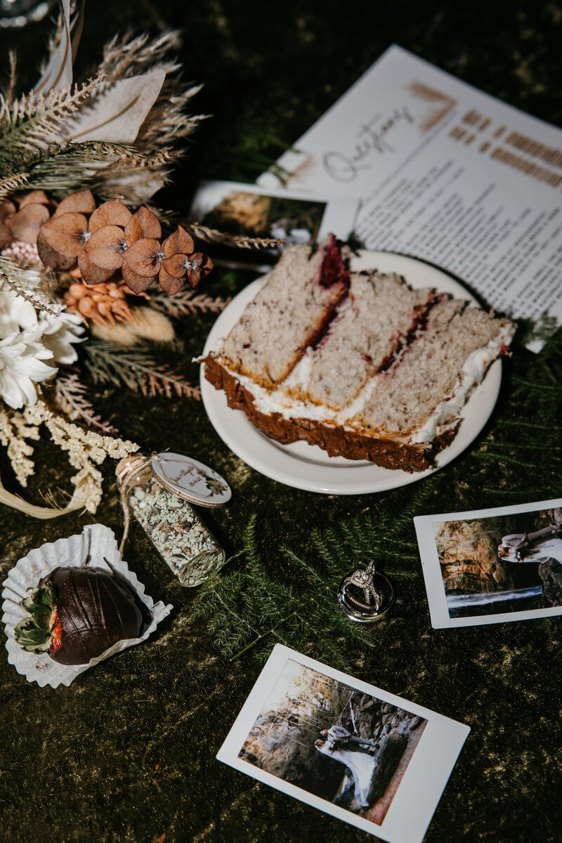 Toccoa Wedding Experts 8