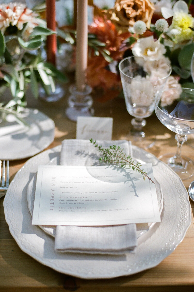 Anna_Grinets_Photography_Paris_Minnesota_Wedding_Photographer_46
