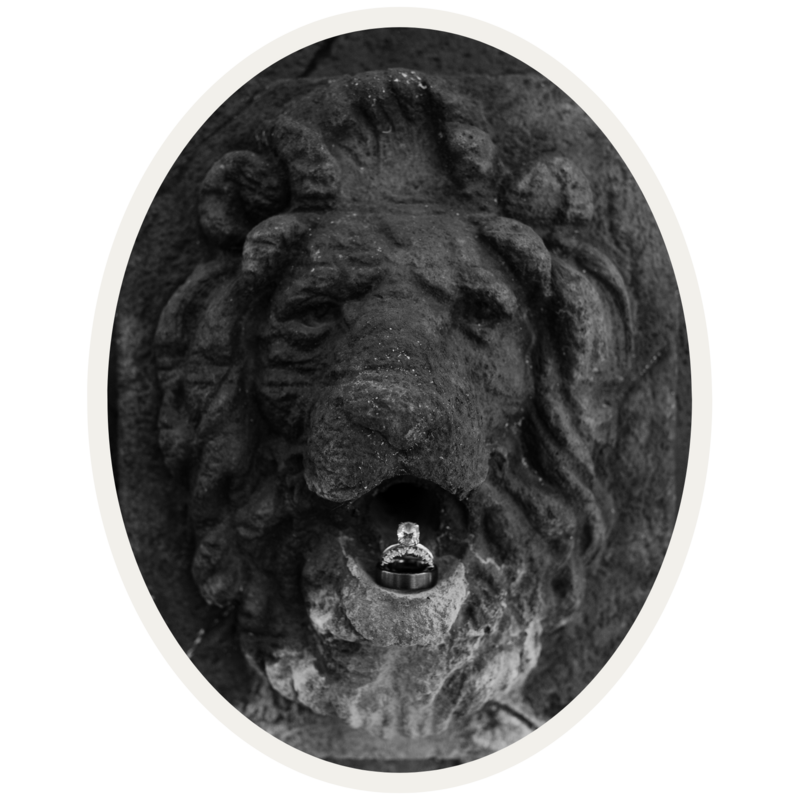 lion head holding wedding rings