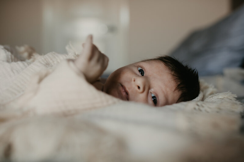 rex newborn10